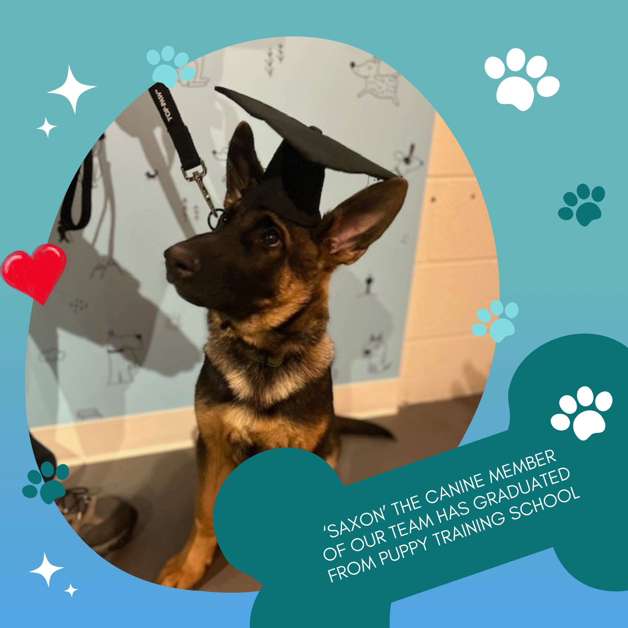 Our Newest Member Of The Team Has Graduated